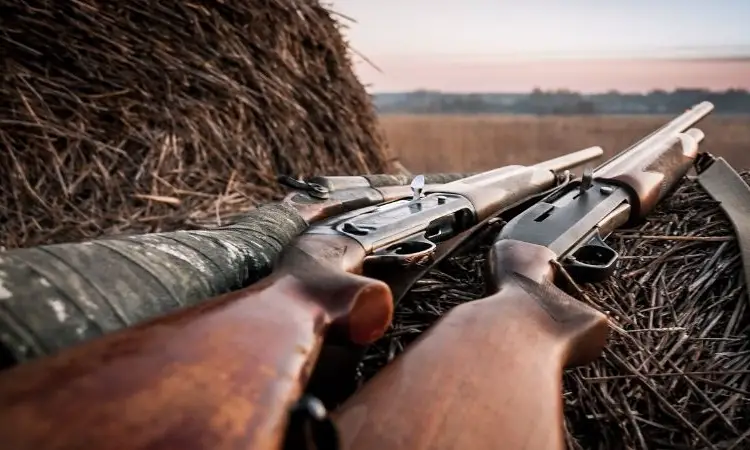 The Pros and Cons of Shotgun vs Rifle