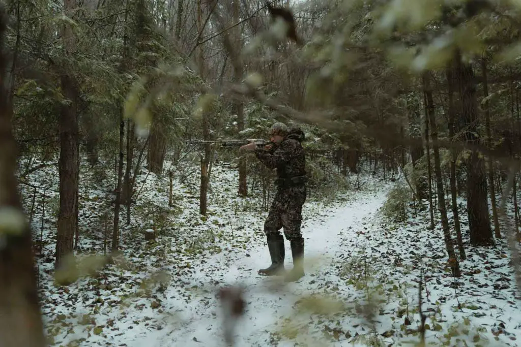 Hunting with a shotgun